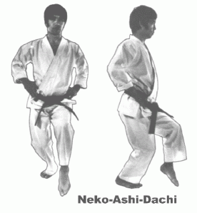 neko-ashi-dachi-gif